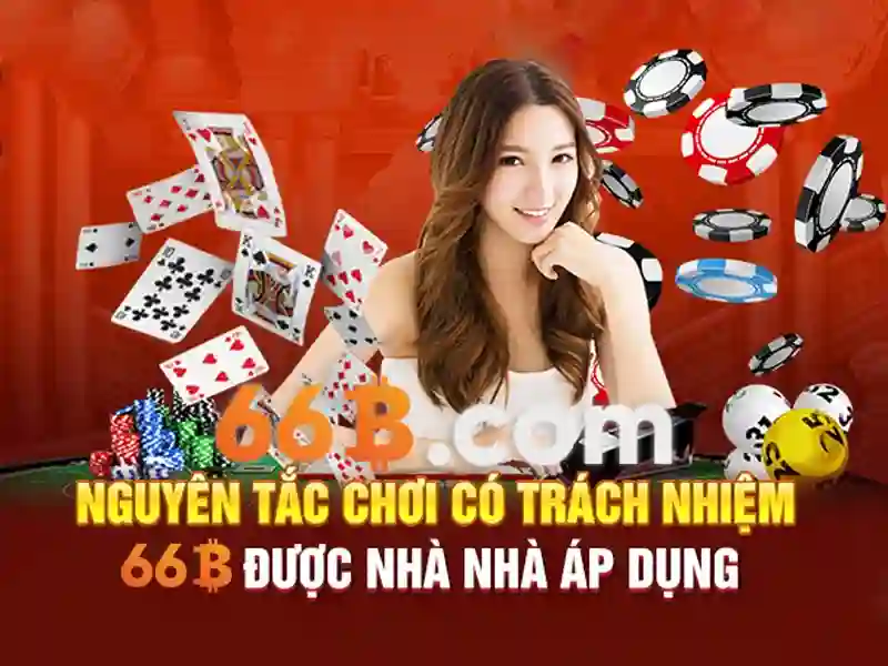 66b: Khái niệm và tác động