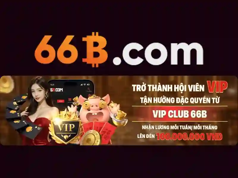 66b: khám phá một khái niệm hiện đại