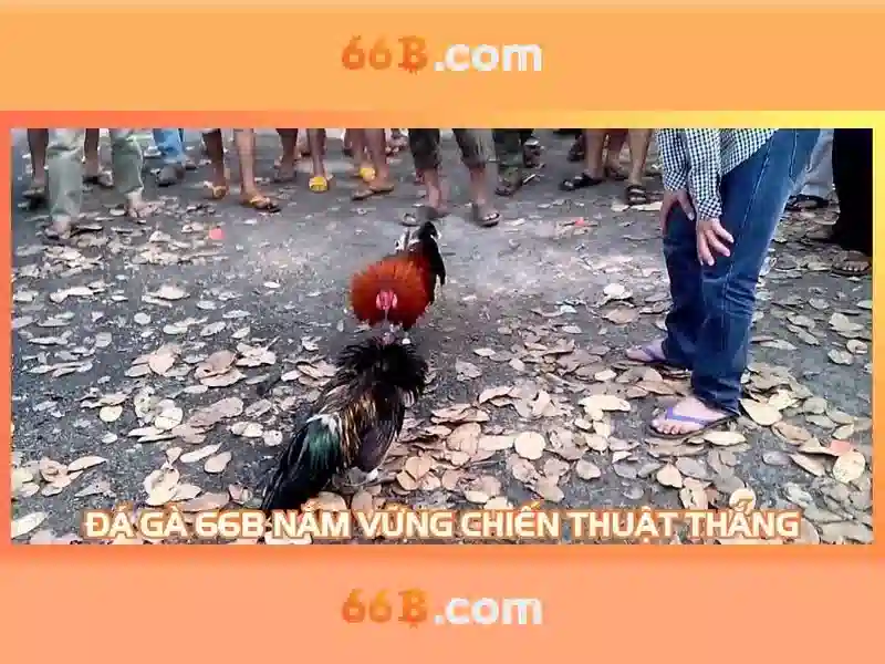 https://tashbelle.com/images/text/66b/66b-text260305352.webp