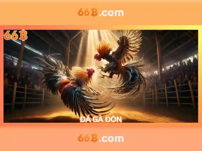 https://tashbelle.com/images/text/66b/66b-text260305363.webp