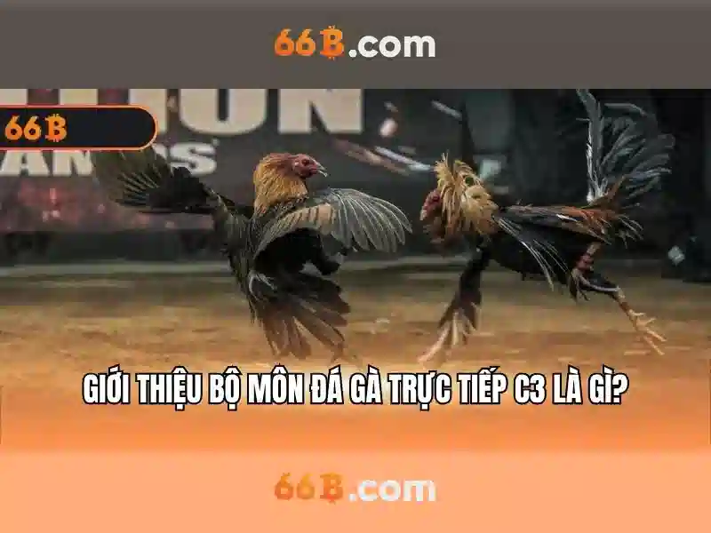 66B: Phân tích mô hình AI với 66 tỷ tham số