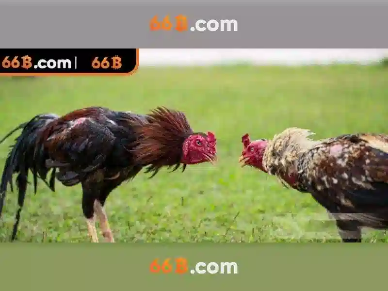 https://tashbelle.com/images/text/66b/66b-text260330171.webp