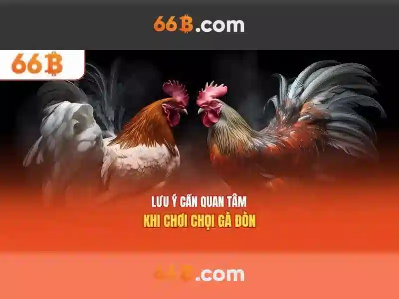 https://tashbelle.com/images/text/66b/66b-text260330208.webp