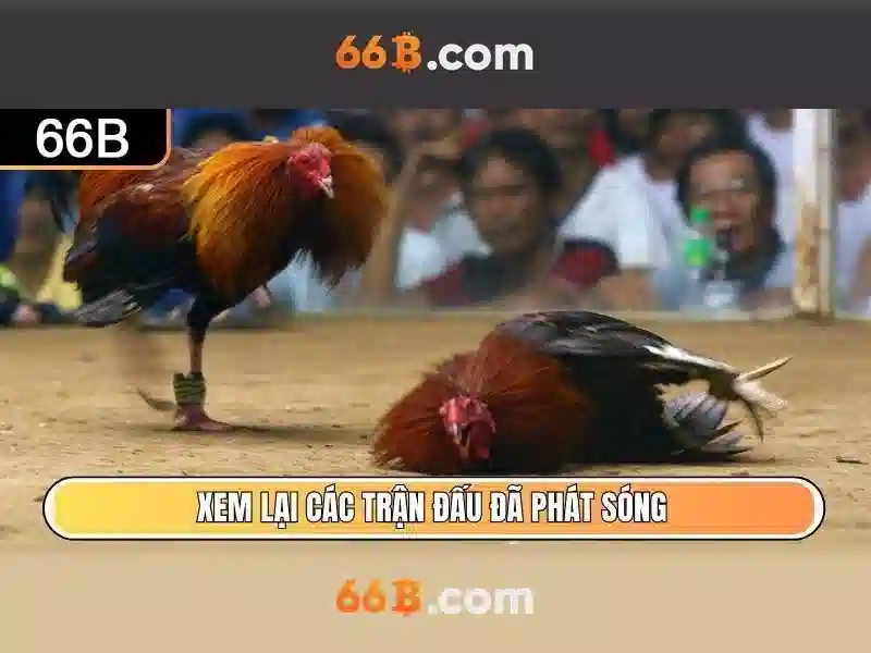 Khám phá 66b — đặc điểm nổi bật