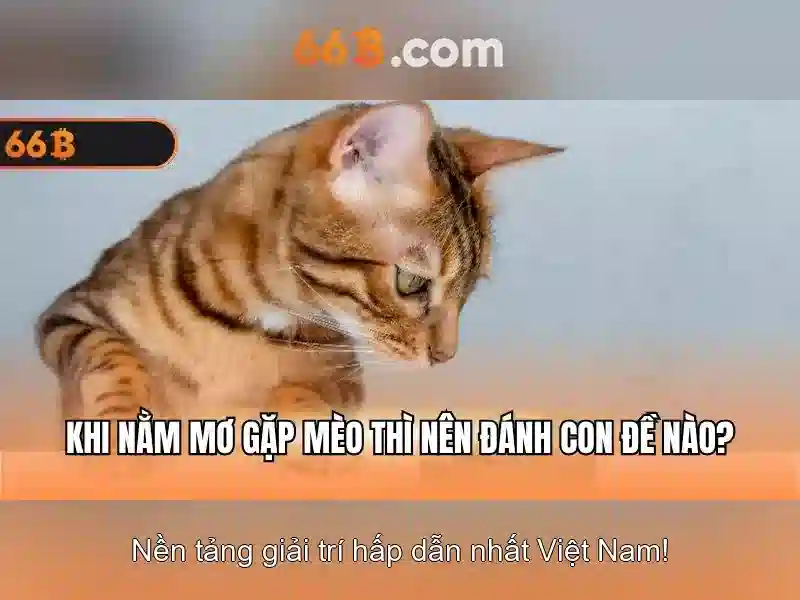 Kết luận về đá gà trực tuyến