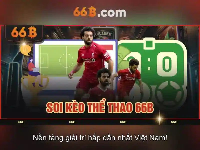 Tong quan ve chinh sach mien tru trach nhiem tai 66b