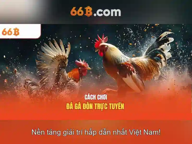 https://tashbelle.com/images/text/66b/66b-text260331455.webp