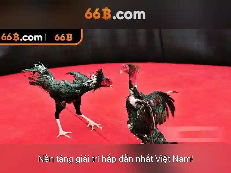 Giao dien trang chu sanh xo so 66b hien dai va bat mat
