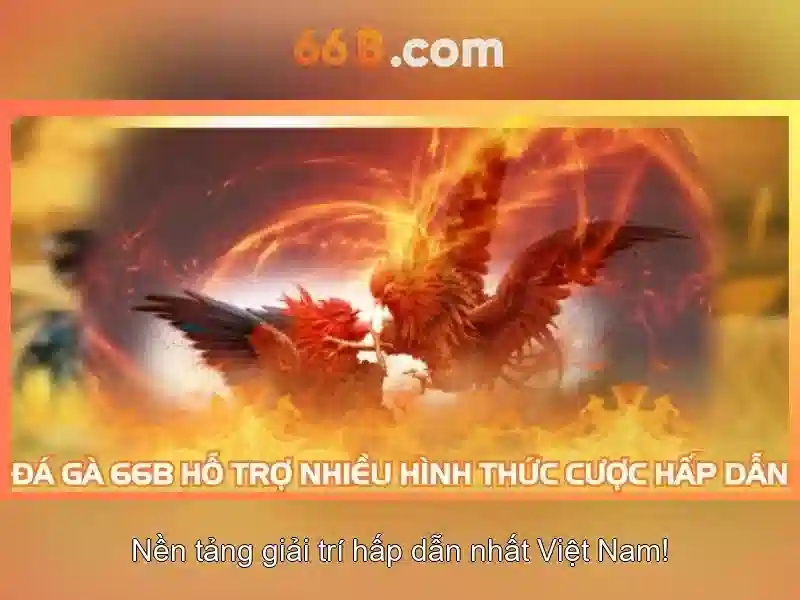 đăng xuất 66b – Trải nghiệm và đánh giá chi tiết
