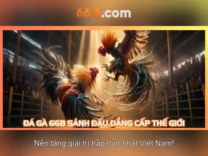 https://tashbelle.com/images/text/66b/66b-text260331556.webp