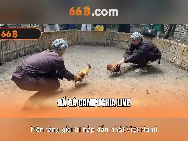 https://tashbelle.com/images/text/66b/66b-text260331560.webp