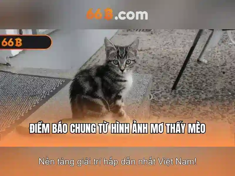 https://tashbelle.com/images/text/66b/66b-text260331687.webp
