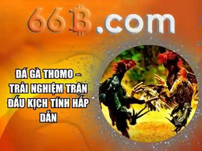 https://tashbelle.com/images/text/66b/66b-text386.webp