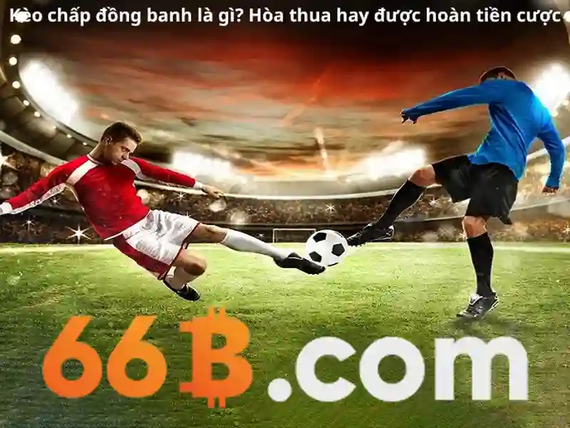 Mô hình 66B: Khía cạnh và Ứng dụng