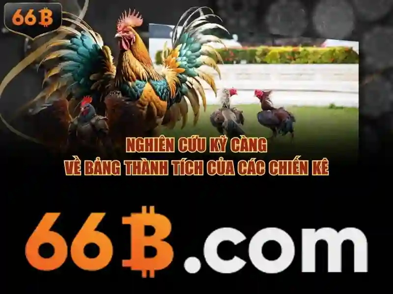 66b là gì và vai trò của nó trong hệ thống