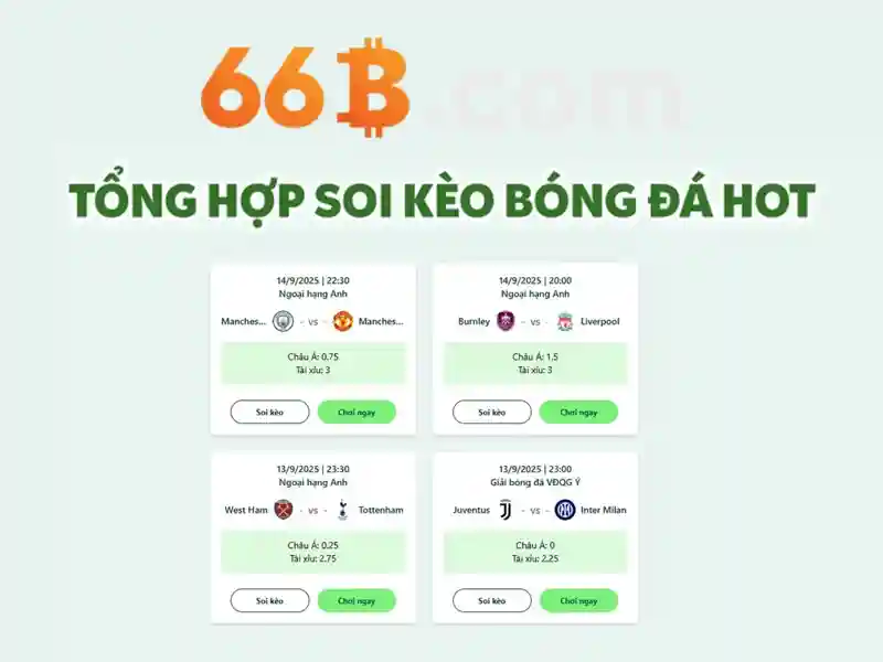 66B: Mô hình ngôn ngữ 66 tỷ tham số và tầm nhìn tương lai