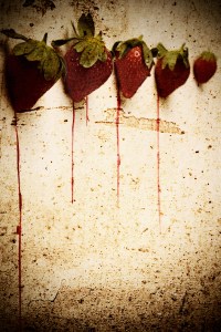 Copy of IMG_4806editred copy